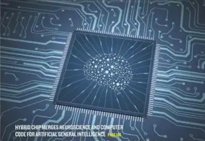 2026十大热门本科专业全解析（附推荐院校）