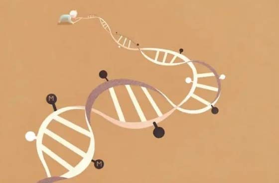 ​2026年临床医学录取形势分析